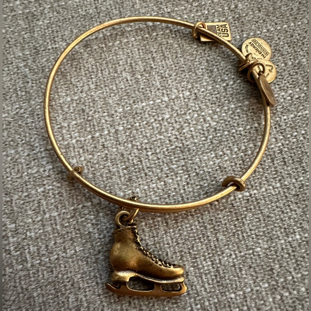 Alex and Ani Bracelet Skate